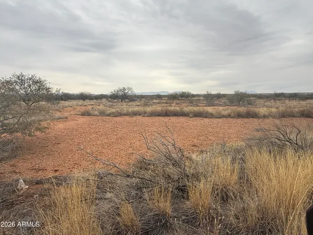 a view of a field with trees in background
