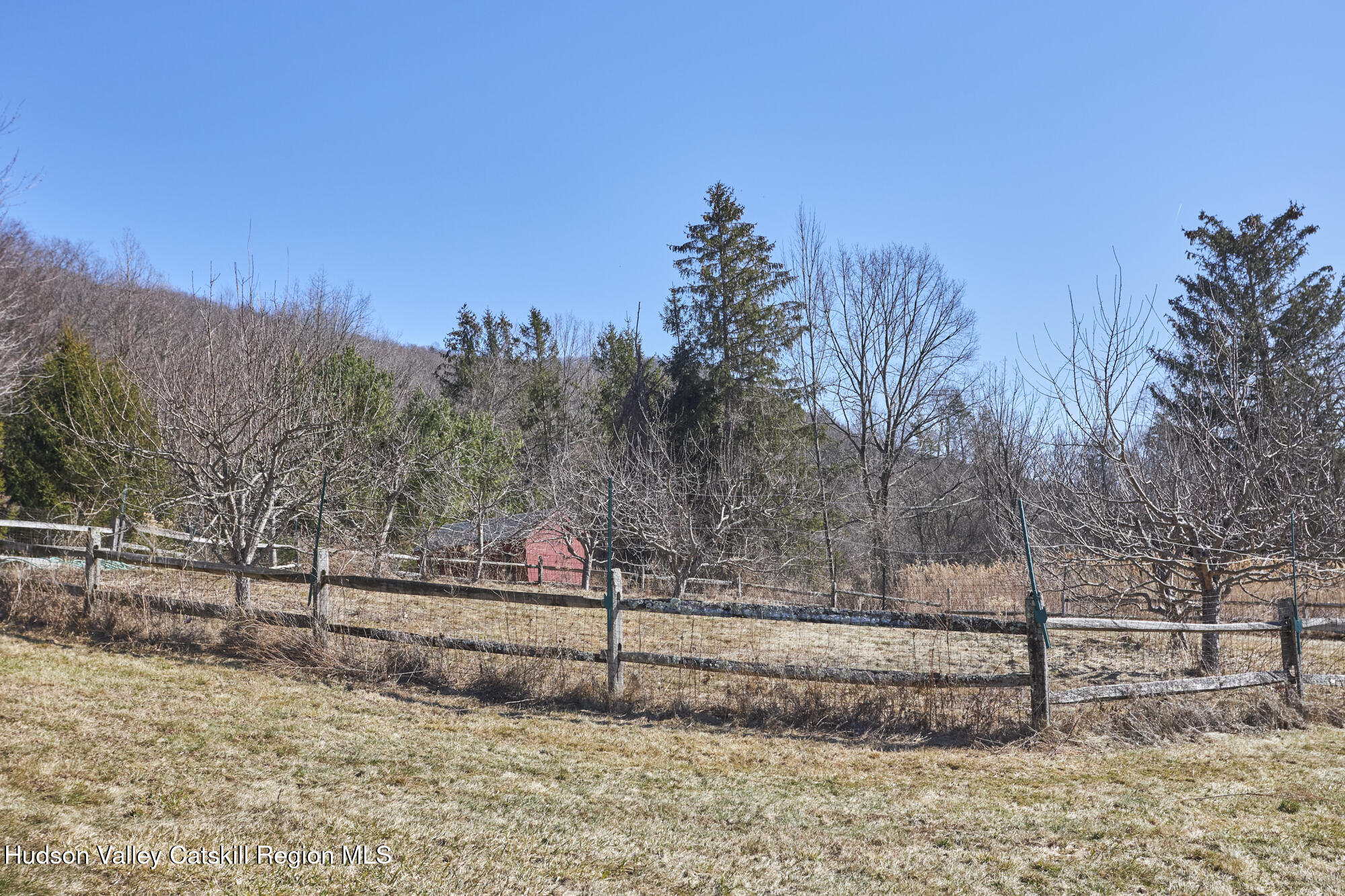 87 Kaye Road Millerton, NY 12546 - Photo 44 of 46 a view of a yard