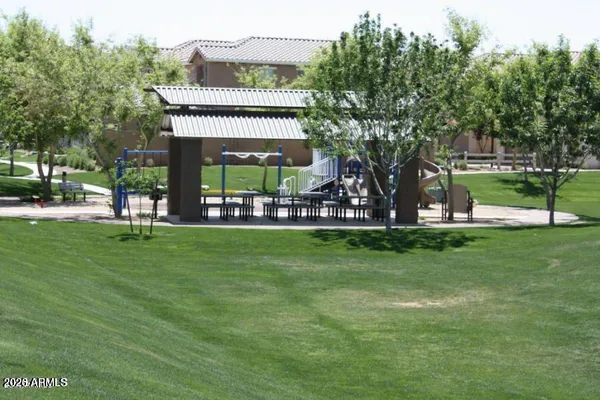 a view of a park with large trees