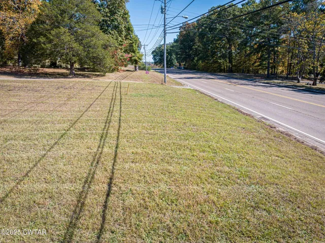 a view of yard with large trees