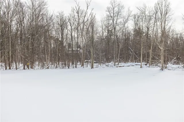 $275,000 | 105 Yoruk Forest Lane, Rush, NY 14543