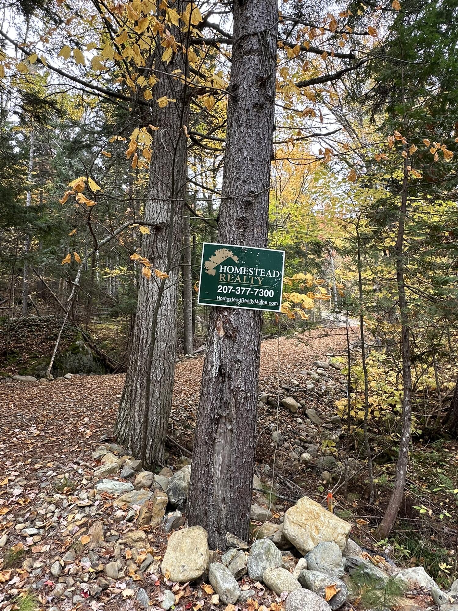 Lot #b-1 Mountain Road Stratton, ME 04982 - Photo 7 of 22 IMG_2658