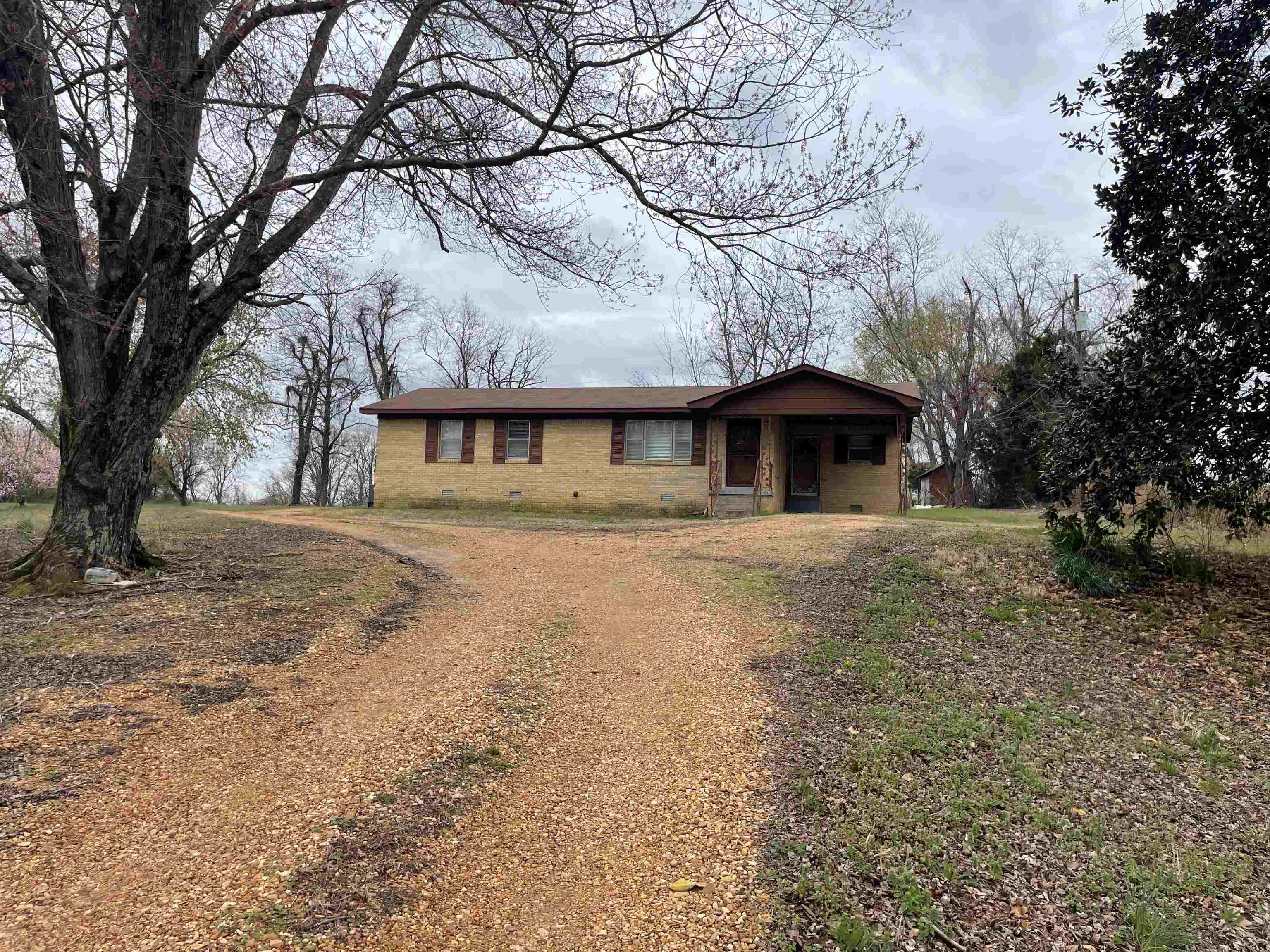a view of house with a yard