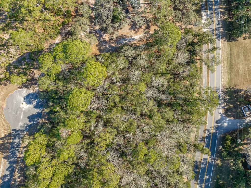 Lot 5 Ramsay Way Ochlockonee Bay, FL 32346 - Photo 12 of 12