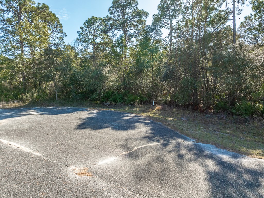 Lot 5 Ramsay Way Ochlockonee Bay, FL 32346 - Photo 2 of 12