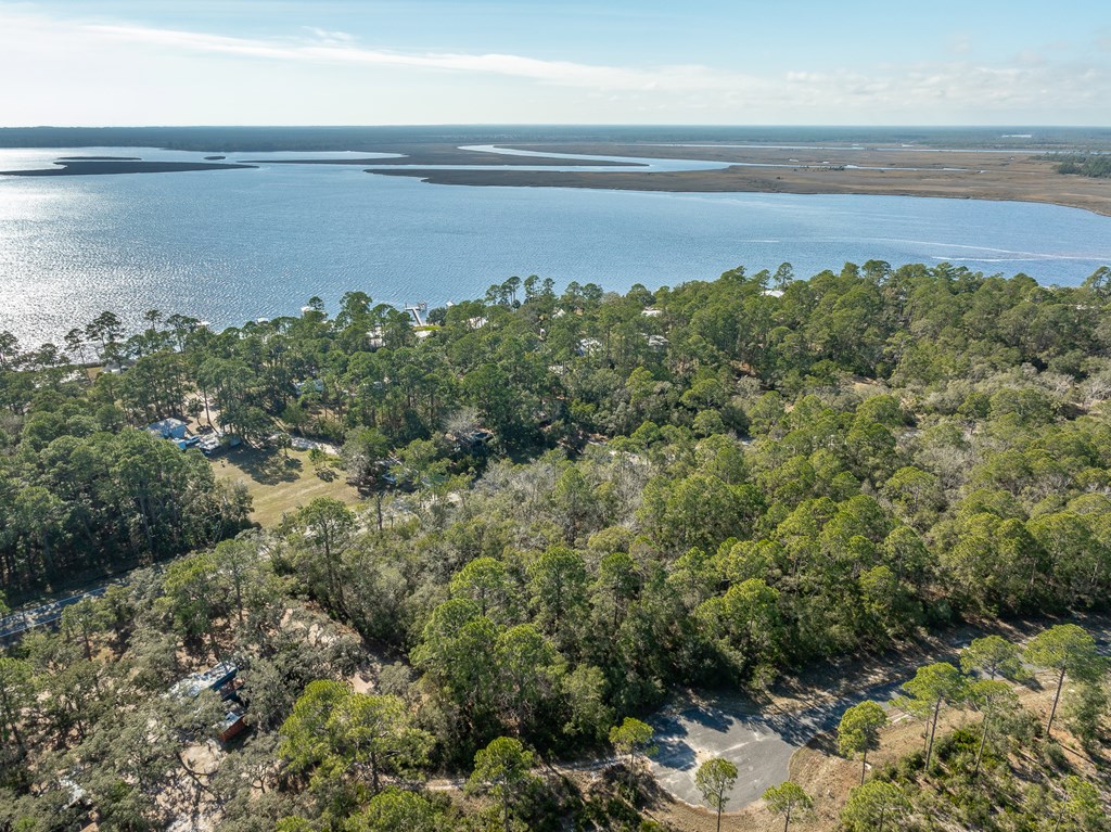Lot 5 Ramsay Way Ochlockonee Bay, FL 32346 - Photo 4 of 12