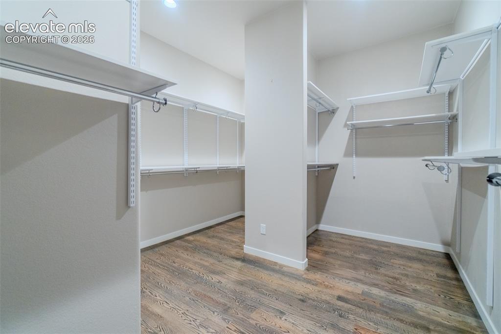 1061 Native Dancer Terrace Colorado Springs, CO 80921 - Photo 22 of 50 Spacious walk-in closet featuring wood-finish flooring, white adjustable shelving, and multiple hanging rods