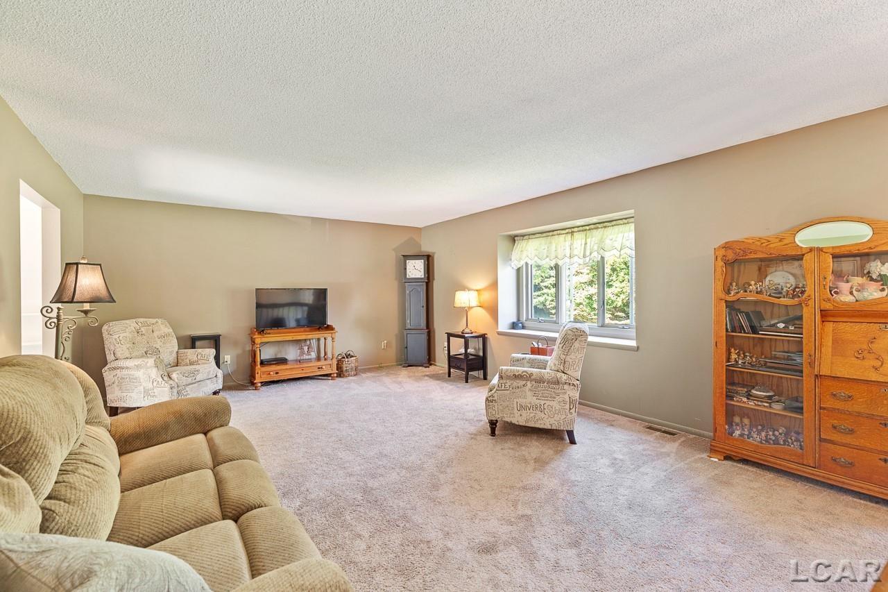 16155 Sheridan Road Clinton, MI 49236 - Photo 14 of 38