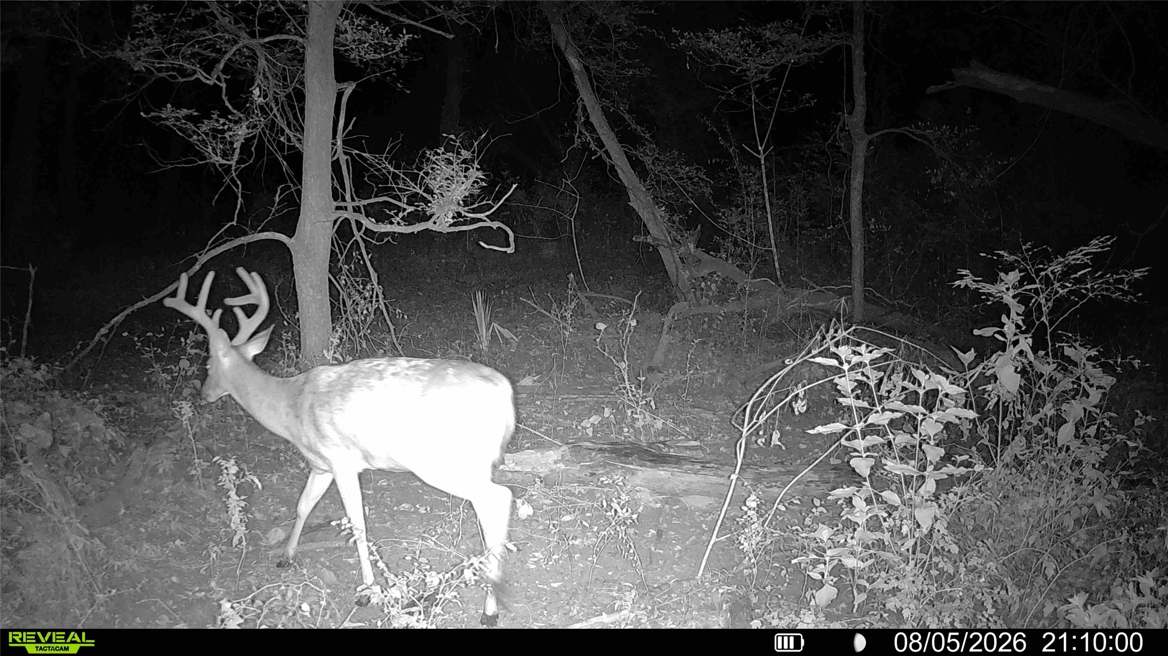 Tbd Antioch Road Midway, TX 75852 - Photo 24 of 25 Gallery Image 24