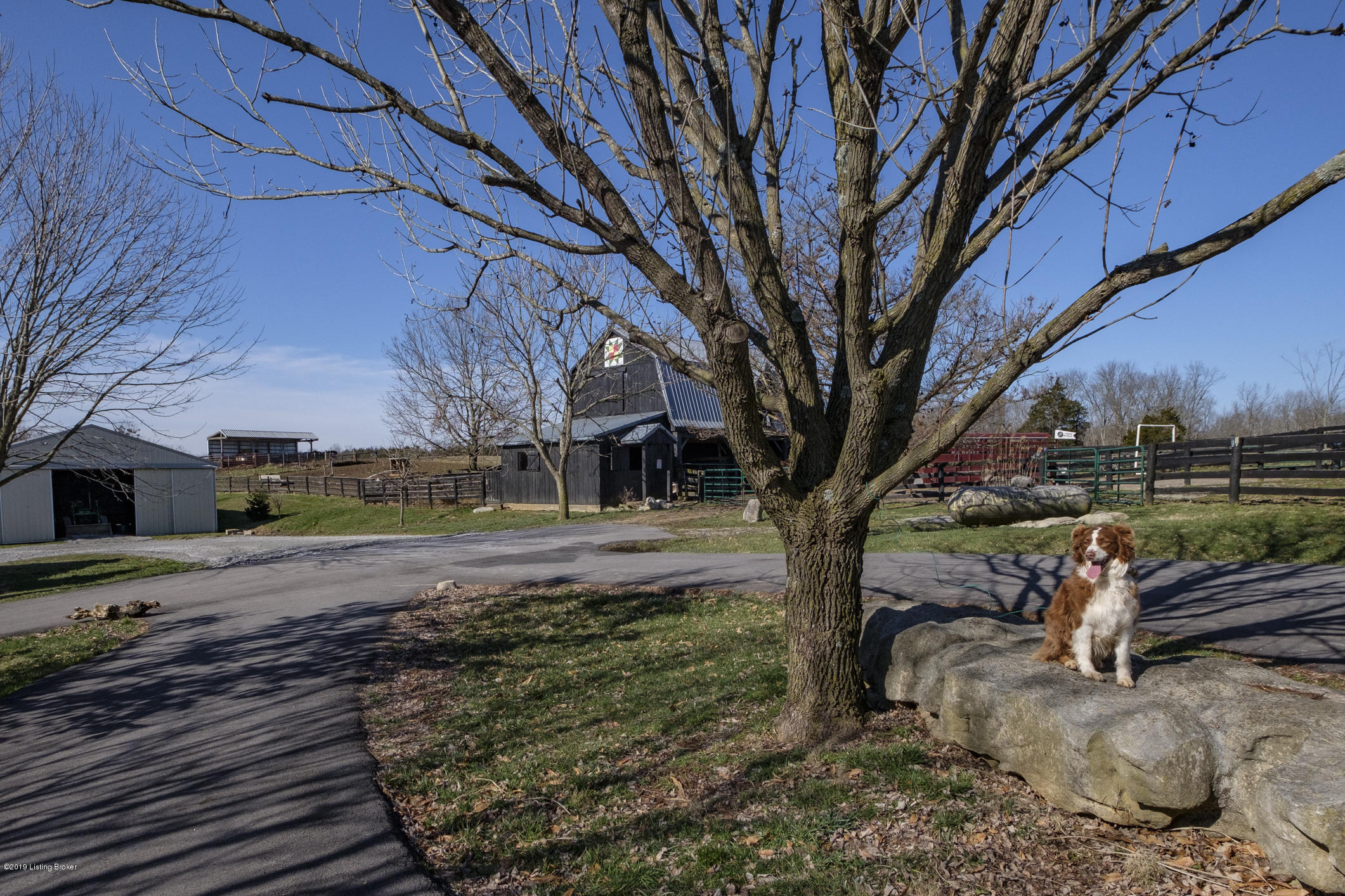 1500 Samuels Road Coxs Creek, KY 40013 - Photo 54 of 70 Dog does not remain...sorry!