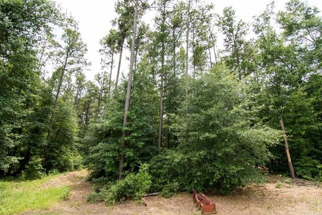 124 Ridge Pointe Drive Waynesboro, GA 30830 - Photo 1 of 11 Main View