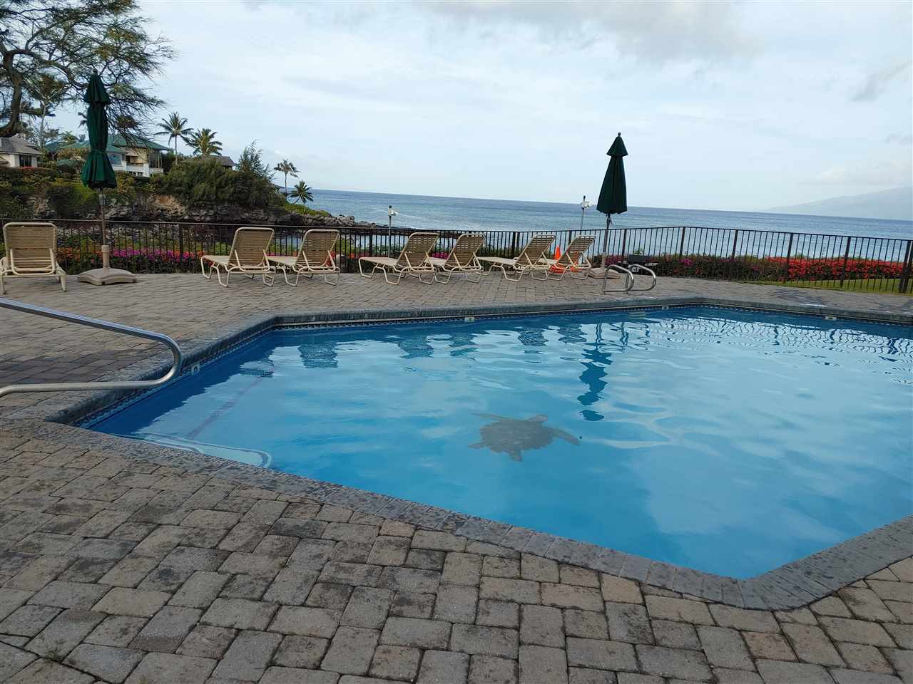 5295 Lower Honoapiilani Road, Unit A24 Lahaina, HI 96761 - Photo 13 of 23 a view of a swimming pool and an outdoor space