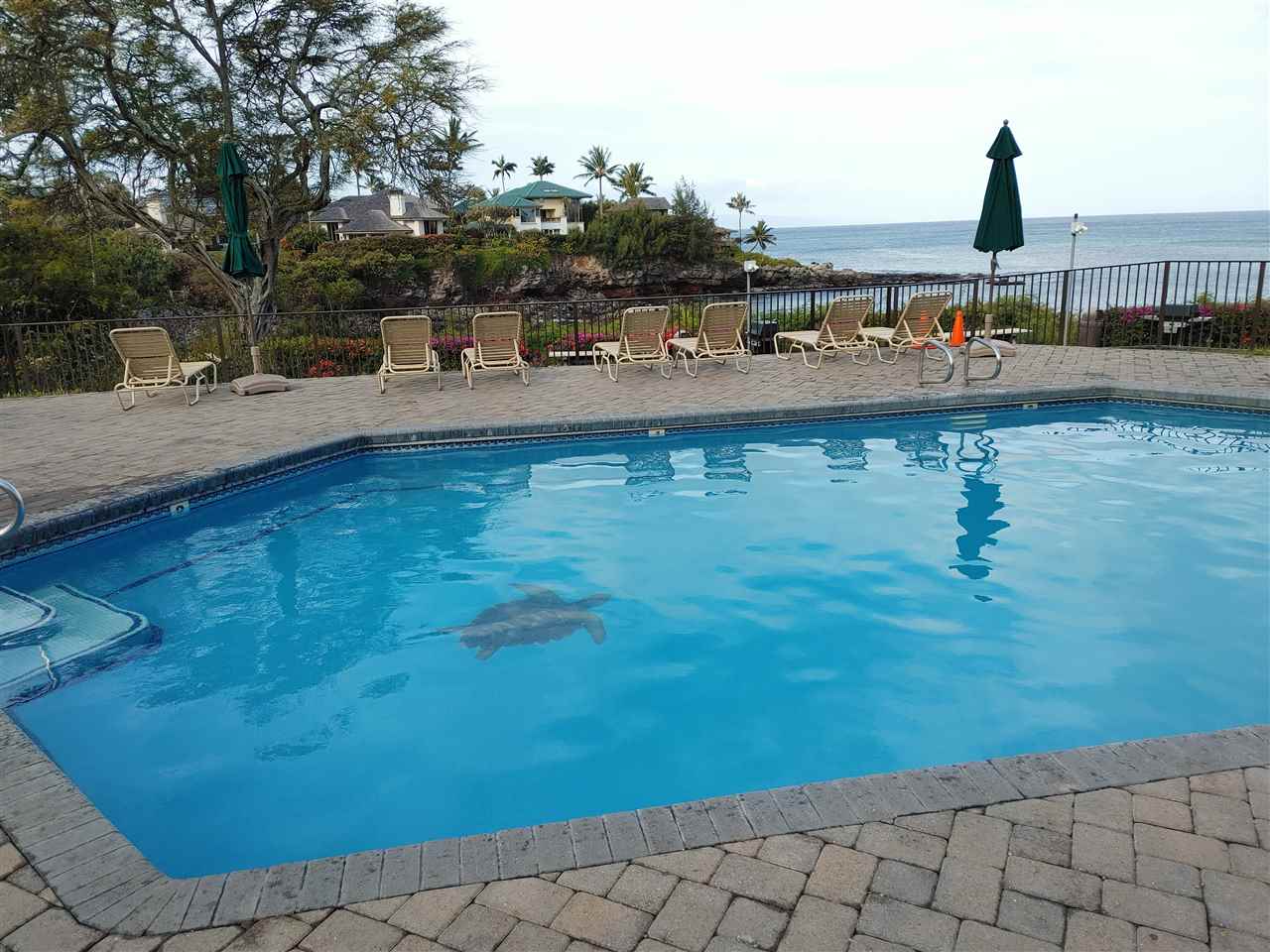 5295 Lower Honoapiilani Road, Unit A24 Lahaina, HI 96761 - Photo 15 of 23 a view of a lake with couches and city view