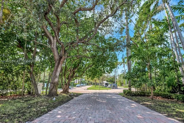 a view of a backyard with large trees