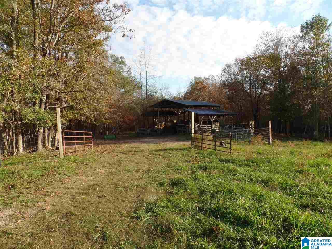 295 Horsley Road Ashville, AL 35953 - Photo 14 of 20