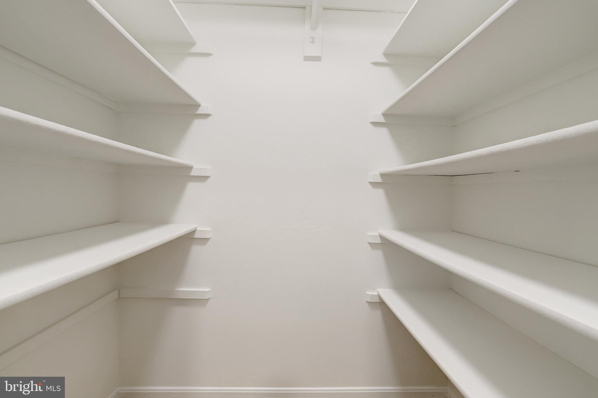 411 North Bryan Street Arlington, VA 22201 - Photo 24 of 58 a view of an empty walk in closet