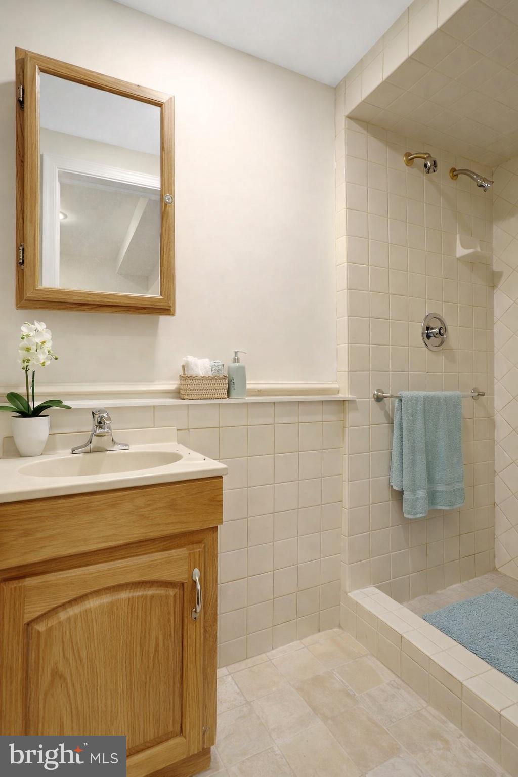 411 North Bryan Street Arlington, VA 22201 - Photo 52 of 58 a bathroom with a sink a vanity and a mirror