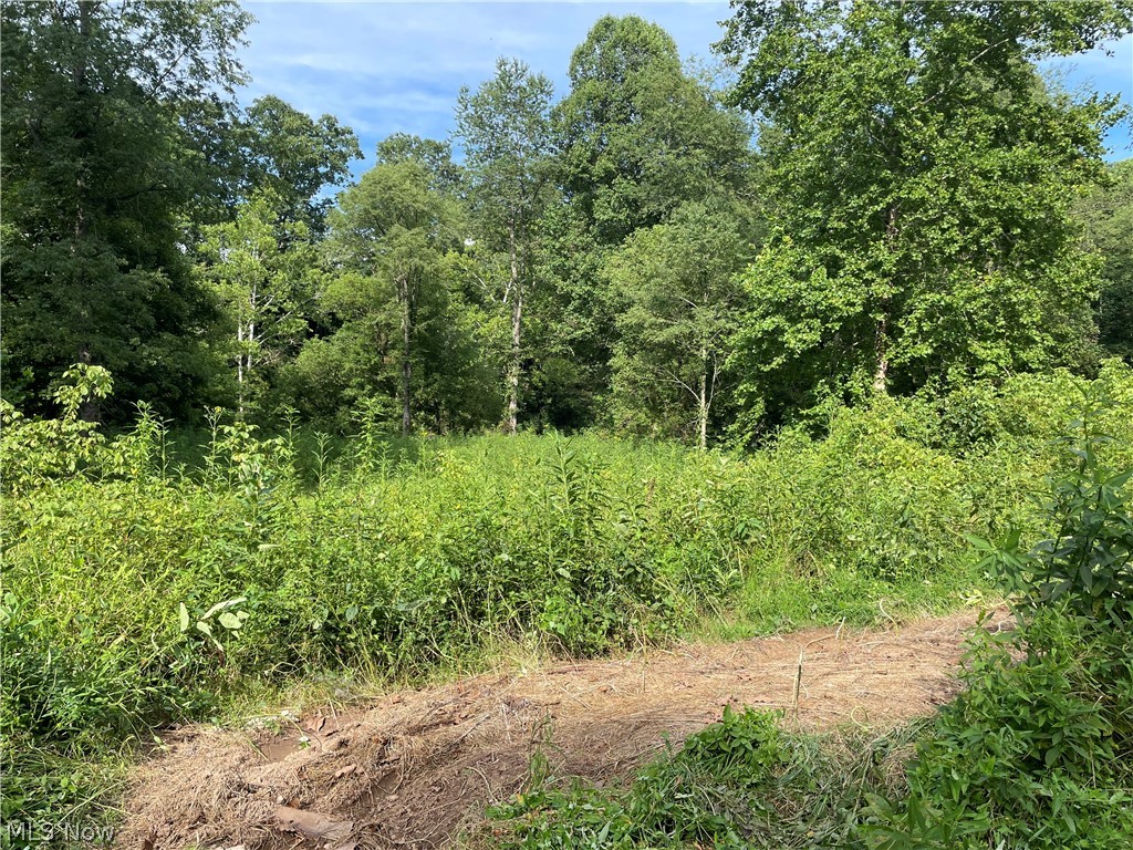 291 A Frame Road New Milton, WV 26411 - Photo 13 of 21 flat part adjacent to creek
