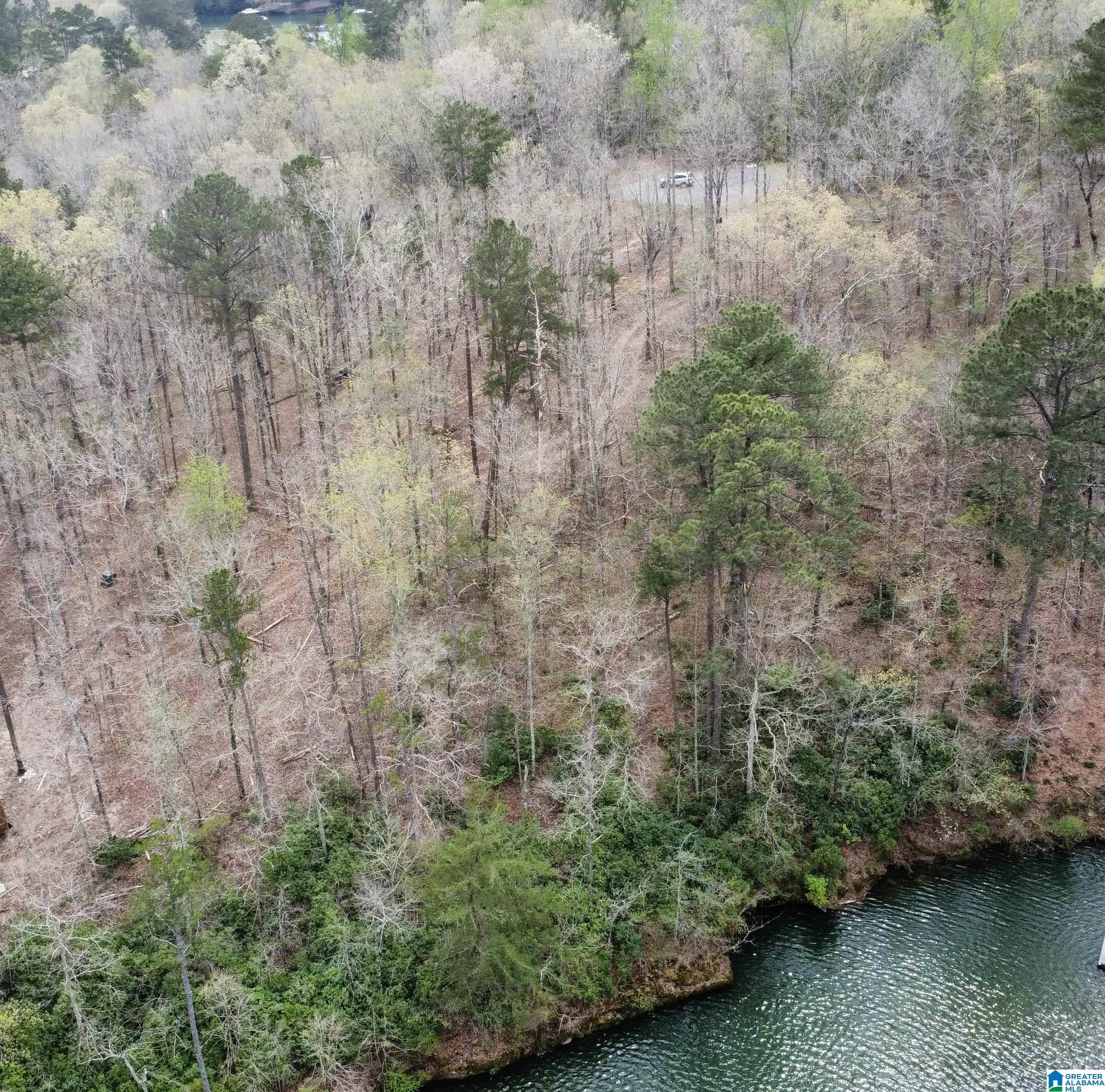 Lot 5 Little Dismal Road, Unit 5 Arley, AL 35541 - Photo 5 of 12