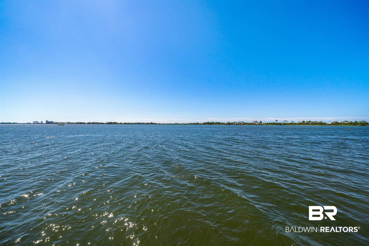 31868 River Road Orange Beach, AL 36561 - Photo 44 of 50