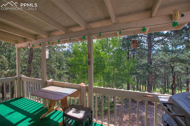 3576 Pathfinder Road Florissant, CO 80816 - Photo 31 of 44 Gallery Image 31