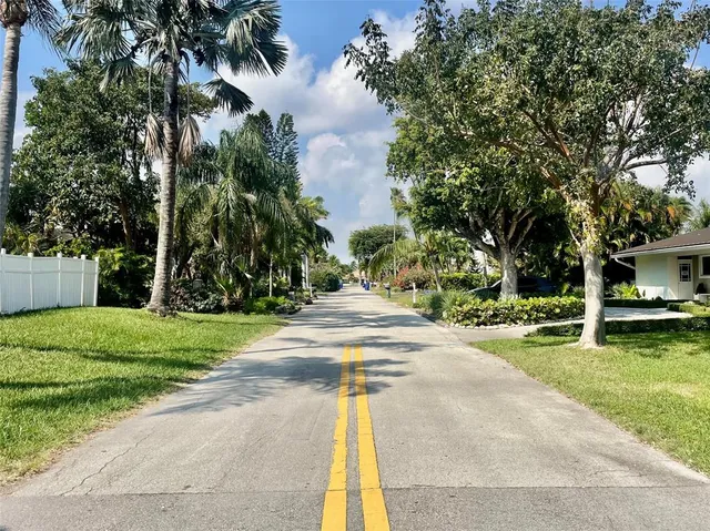 a view of a park with plants and trees