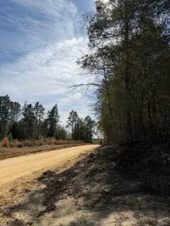 $79,900 | Tbd Yale Street, Salley, SC 29137