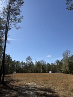 Tbd Yale Street Salley, SC 29137 - Photo 5 of 8 IMG_3225 Small