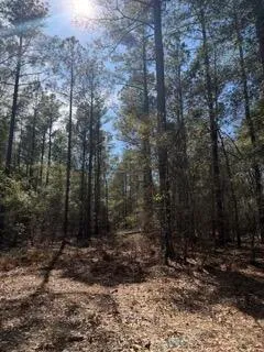 $79,900 | Tbd Yale Street, Salley, SC 29137