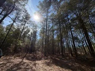 $79,900 | Tbd Yale Street, Salley, SC 29137