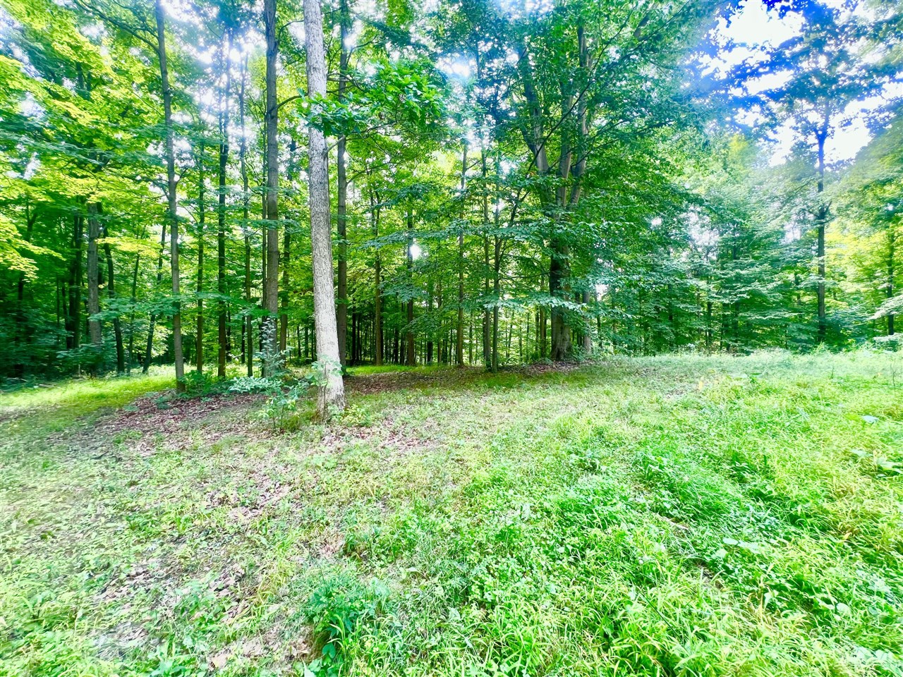 2201 South Sand Lake Road Hillsdale, MI 49242 - Photo 13 of 32