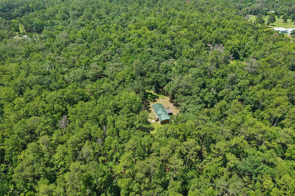 6221 Emerson Road Brooksville, FL 34601 - Photo 36 of 45
