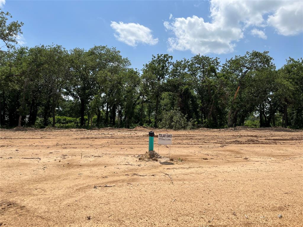 449 Peace Lily Way Tolar, TX 76476 - Photo 1 of 1