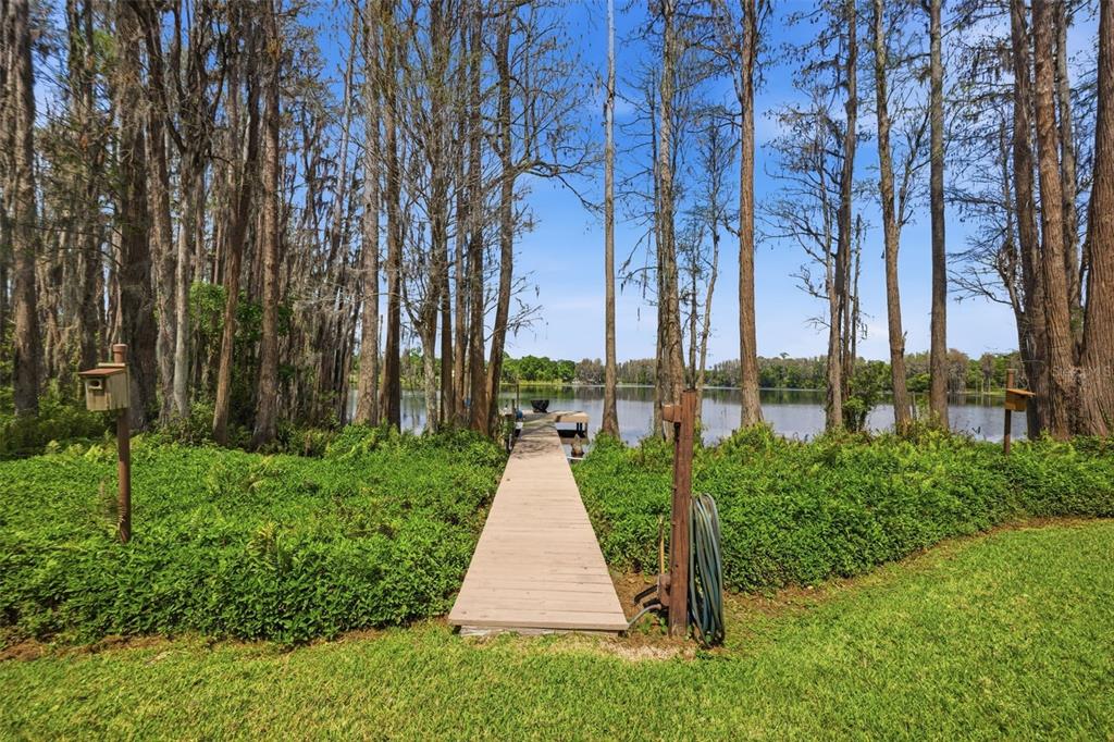 820 Newberger Road Lutz, FL 33549 - Photo 3 of 40