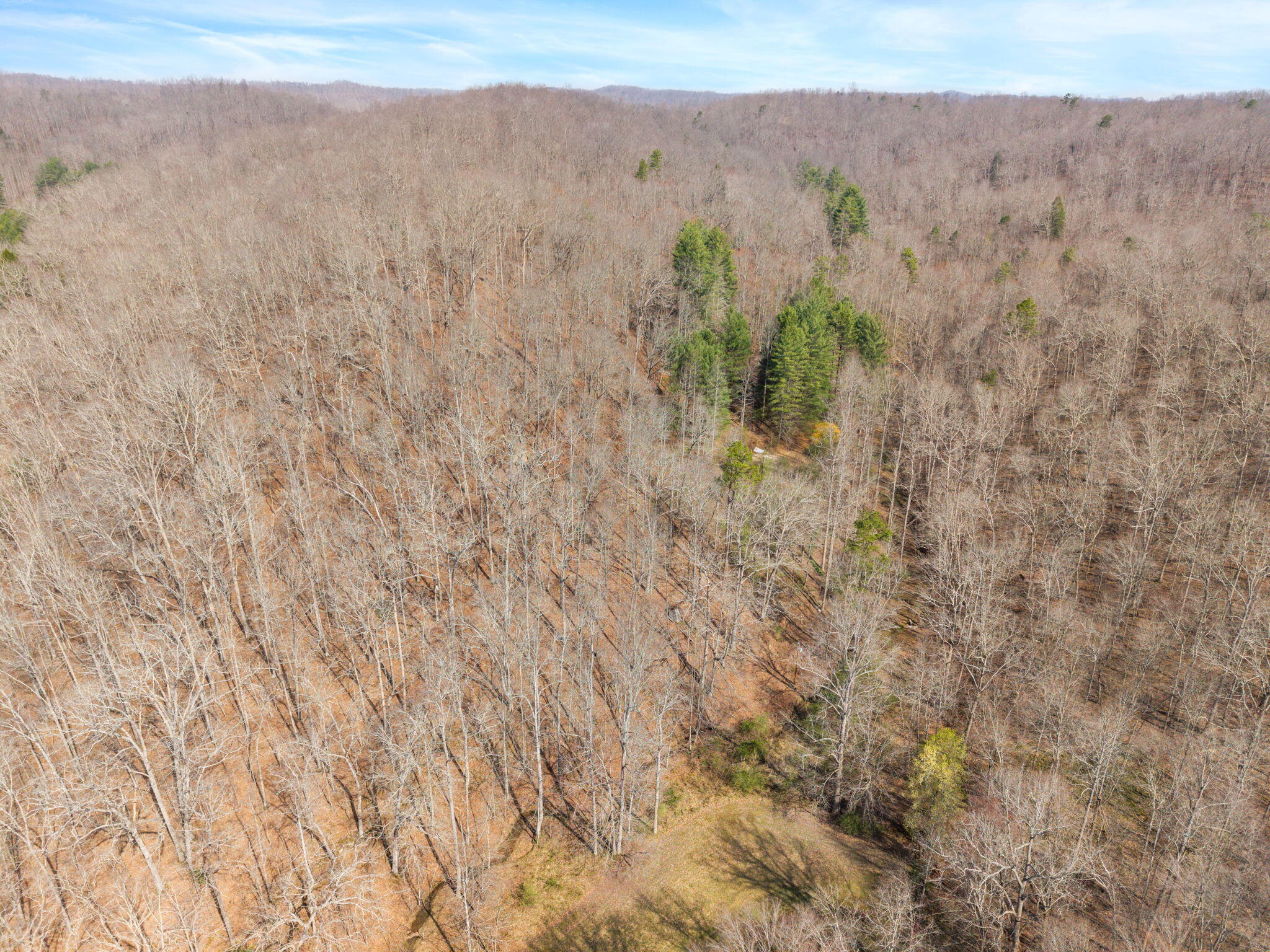 1230 Possum Trot Road Manchester, KY 40962 - Photo 15 of 25 18-web-or-mls-DJI_20260321114909_0045_D