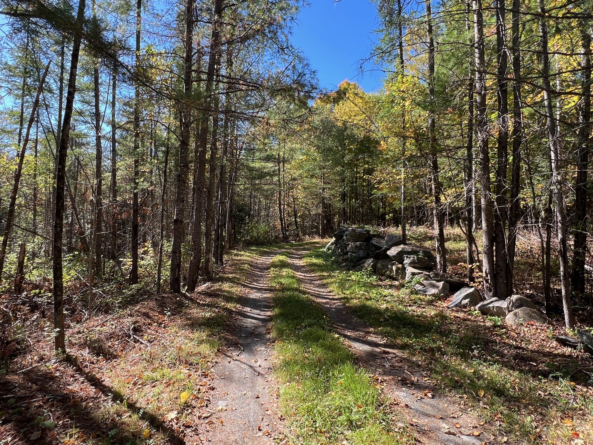 10 Map Road Dover-Foxcroft, ME 04426 - Photo 5 of 15 5