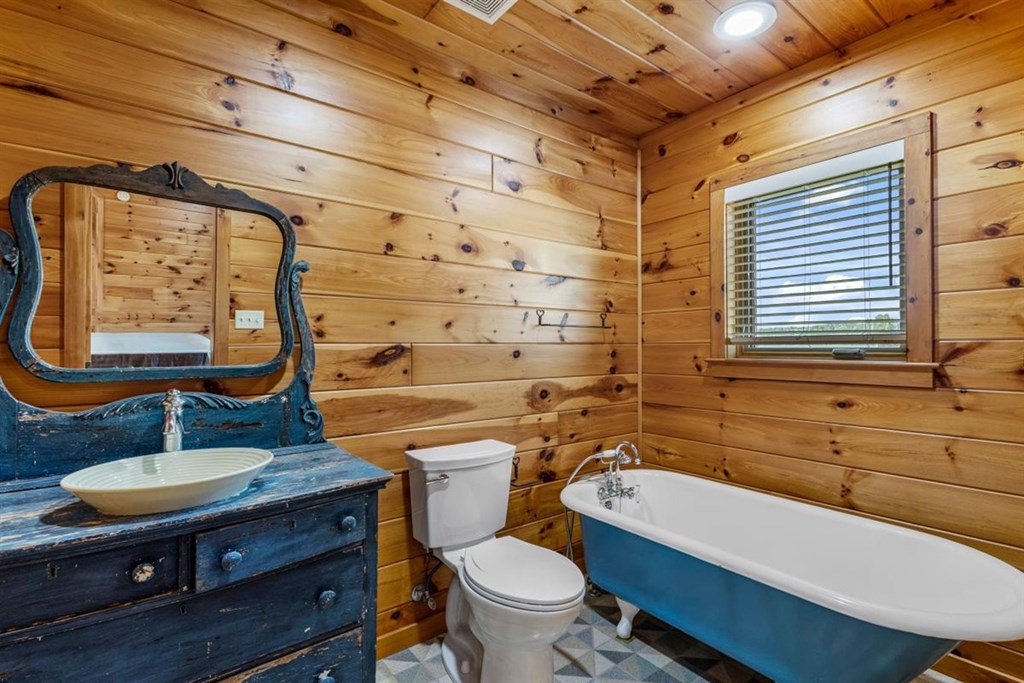 166 Richard Road Blairsville, GA 30512 - Photo 41 of 75