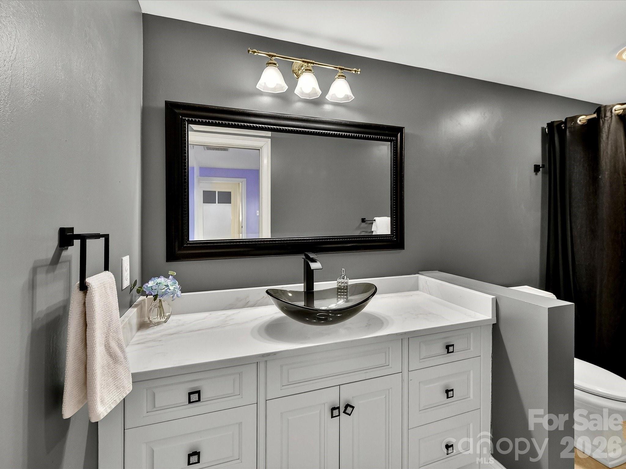 1779 8th St Drive Northwest Hickory, NC 28601 - Photo 25 of 36 a bathroom with a sink and a mirror