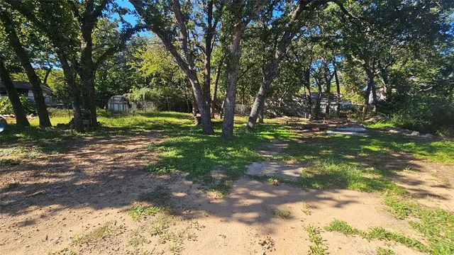 a view of a tree in a yard