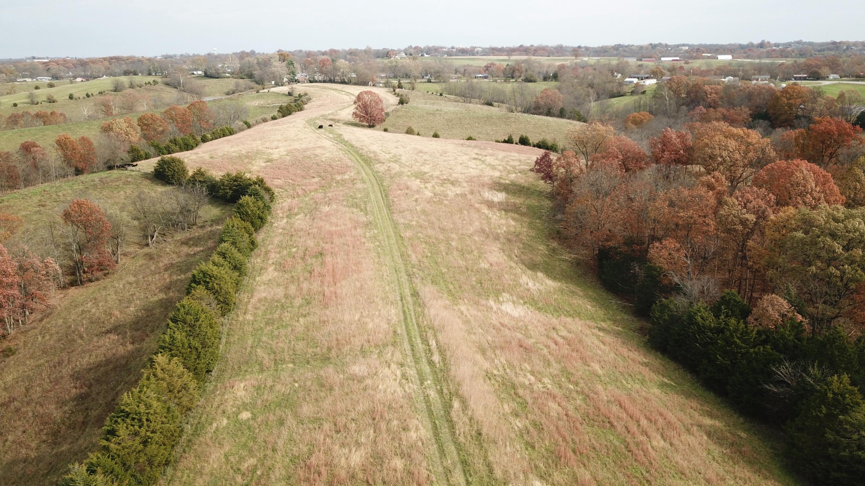 0 Gratz Road Owenton, KY 40359 - Photo 7 of 40