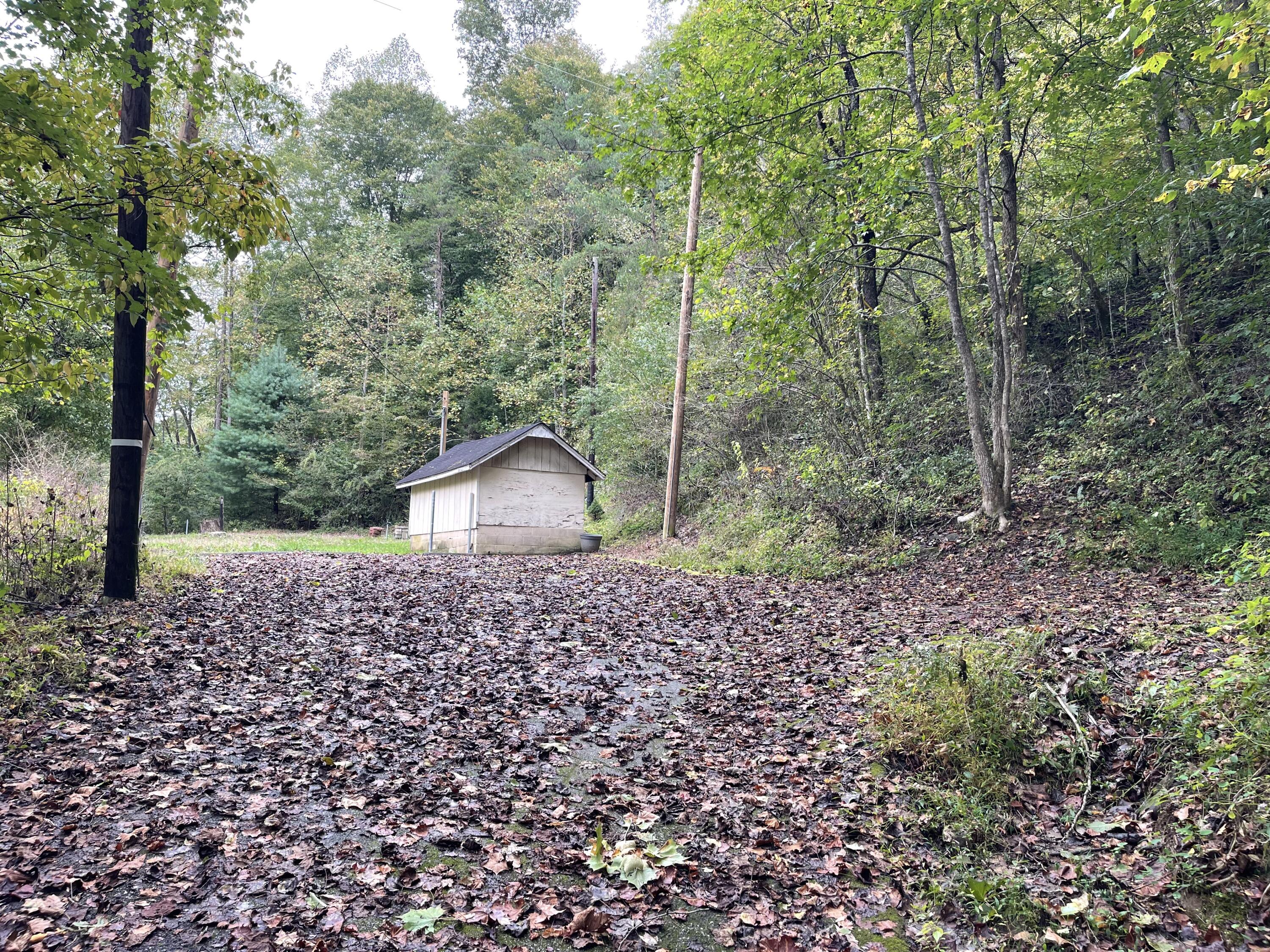 310 Sims Fork Road Arjay, KY 40902 - Photo 4 of 11 IMG_2824