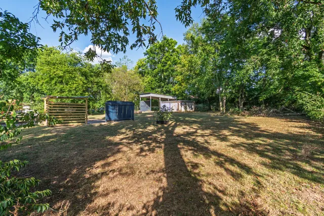 a view of a yard with plants and trees
