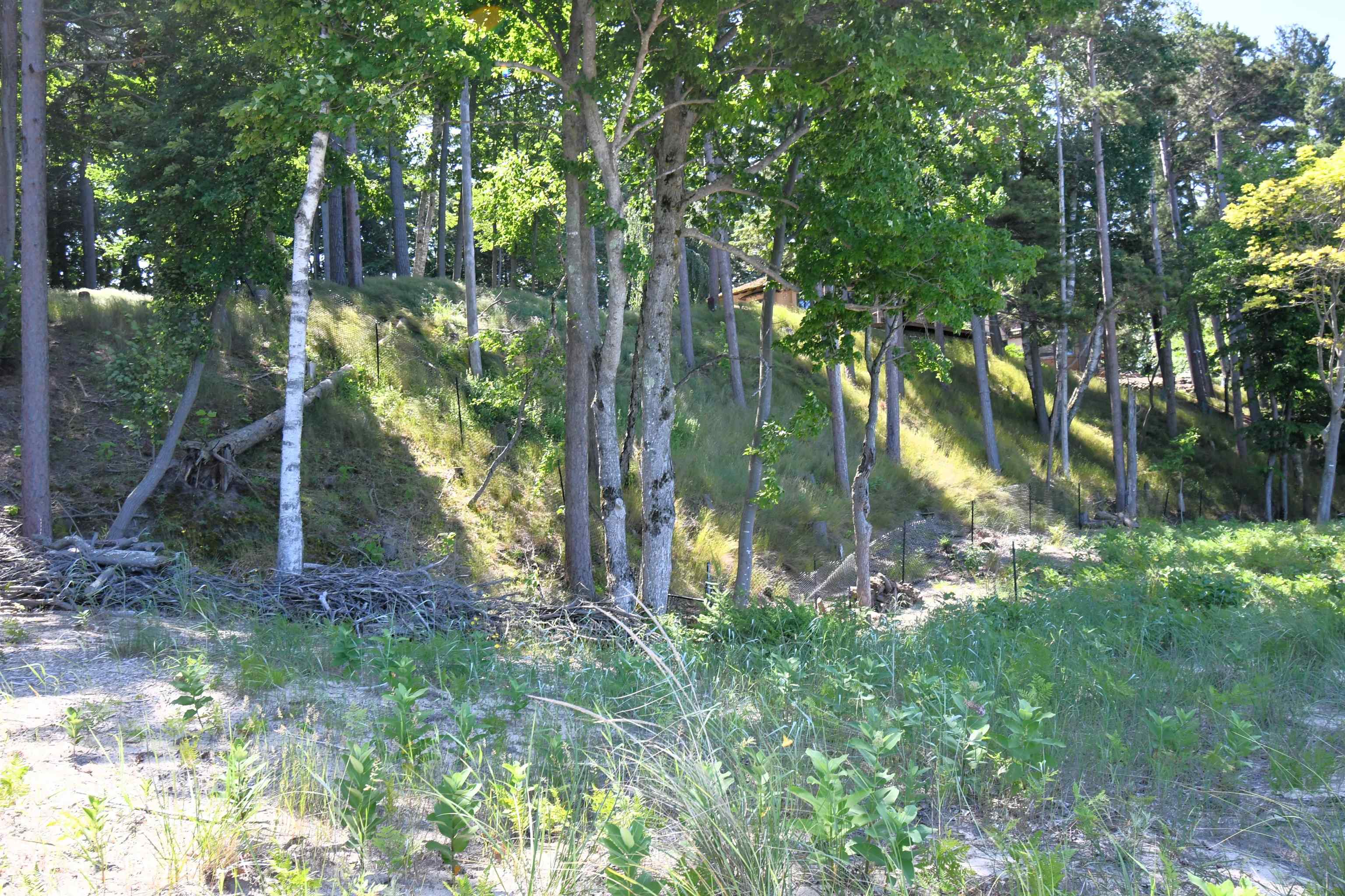 0 Mt McSauba Road Charlevoix, MI 49720 - Photo 30 of 33