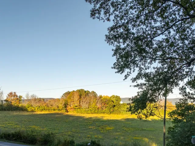 a view of a grassy area with an trees