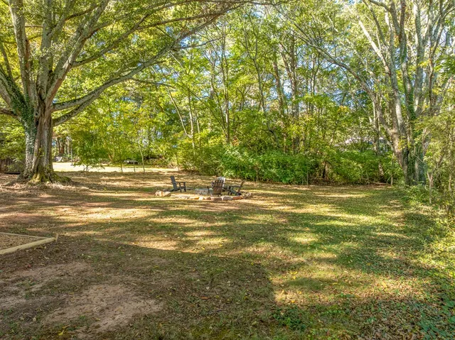 a view of a large trees with a big yard