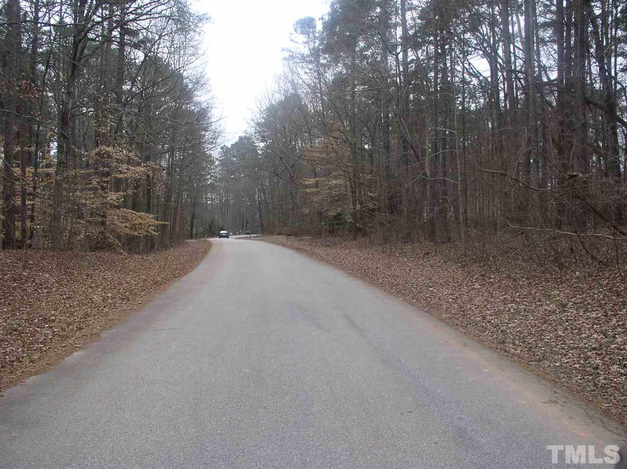 0 Greenbriar Road Littleton, NC 27850 - Photo 11 of 19
