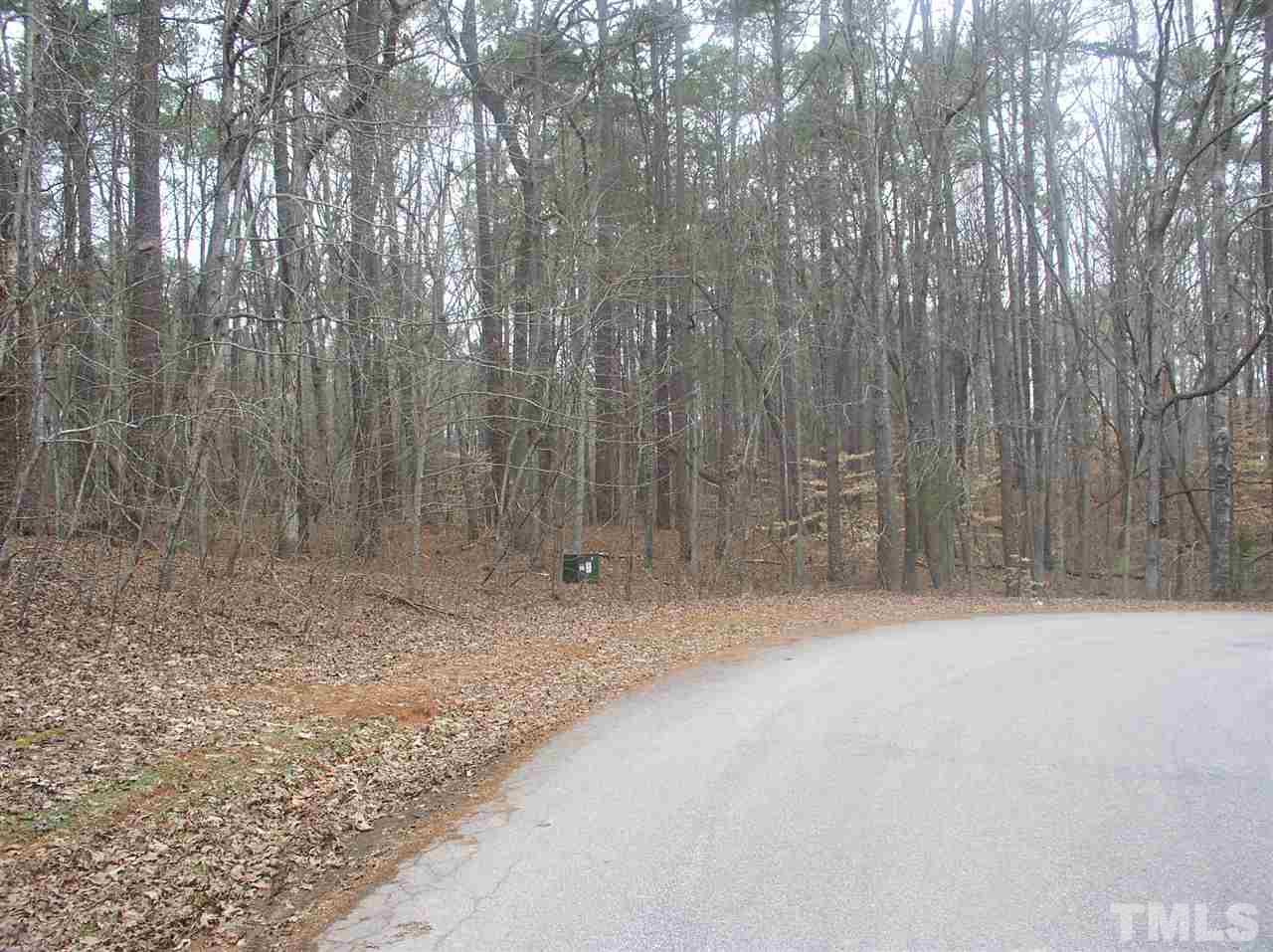 0 Greenbriar Road Littleton, NC 27850 - Photo 12 of 19