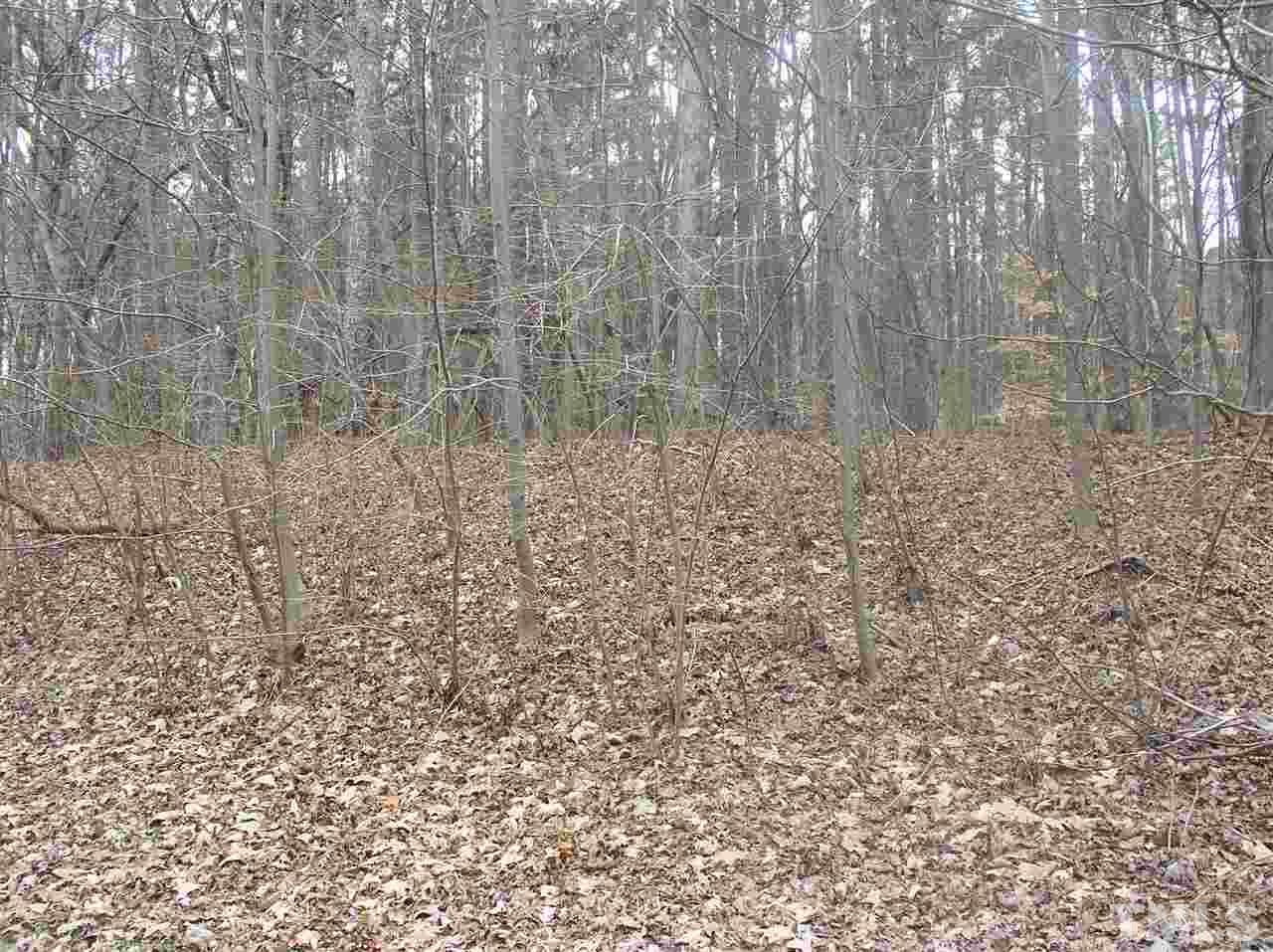 0 Greenbriar Road Littleton, NC 27850 - Photo 3 of 19