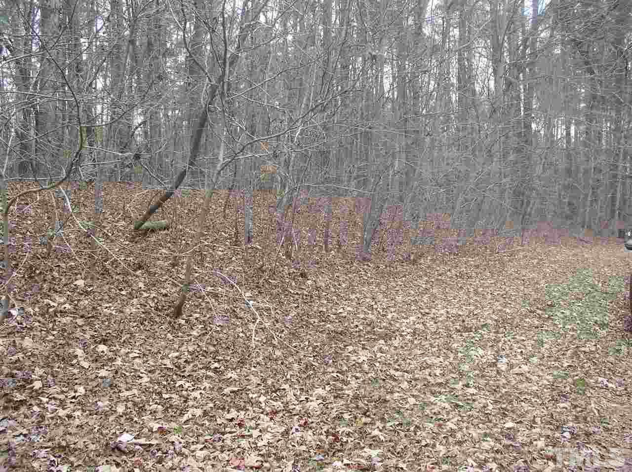 0 Greenbriar Road Littleton, NC 27850 - Photo 4 of 19
