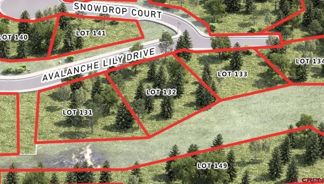 an aerial view of a house with swimming pool and outdoor space